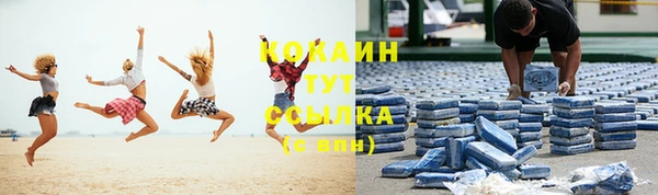 молекула духа Шадринск