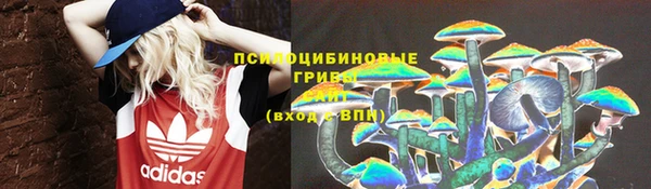spice Шарыпово